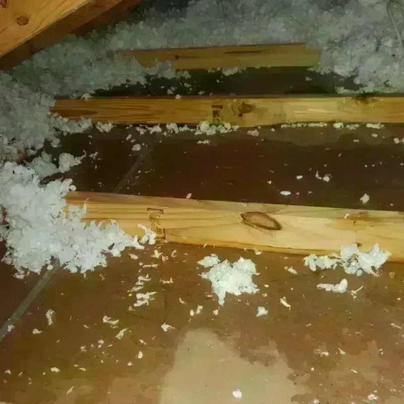 Attic Water Damage in Cambrian Park, CA